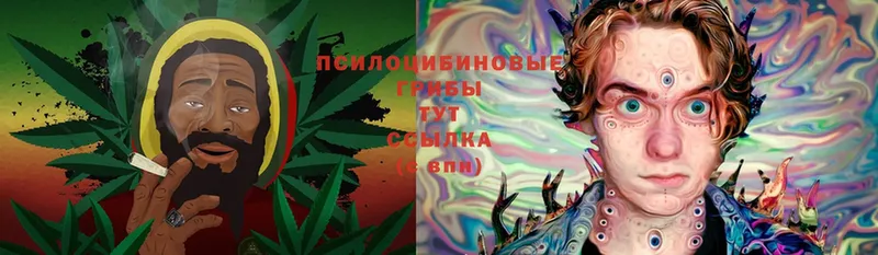 Галлюциногенные грибы Psilocybe  Новоузенск 